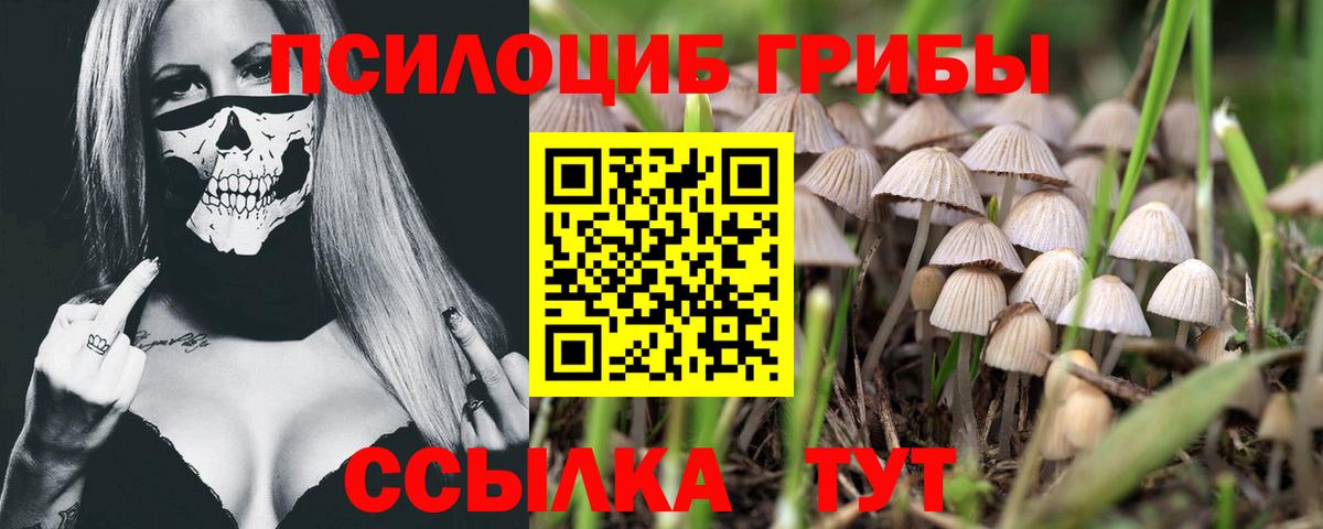 хочу наркоту  Галлюциногенные грибы Psilocybine cubensis  Вход с VPN  Галлюциногенные грибы Cubensis  Владивосток 